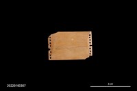 藏品(雕刻骨片)的圖片